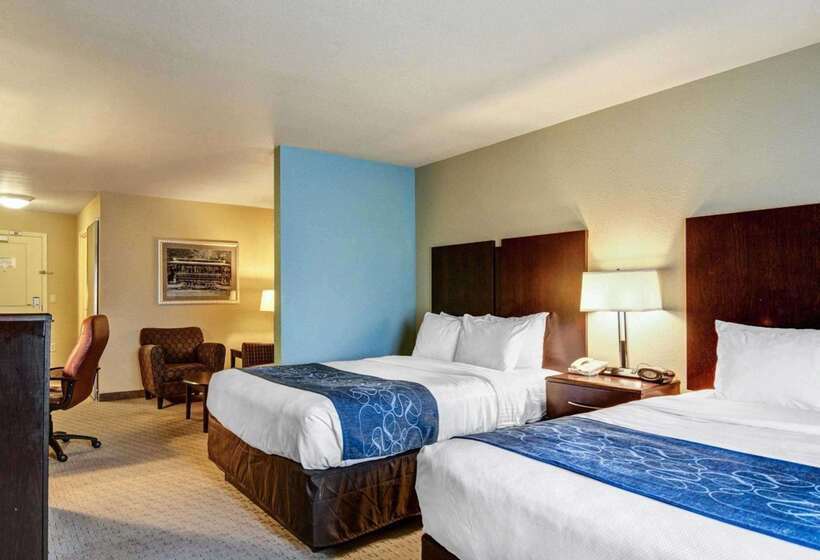 فندق Comfort Suites Near Hot Springs Park
