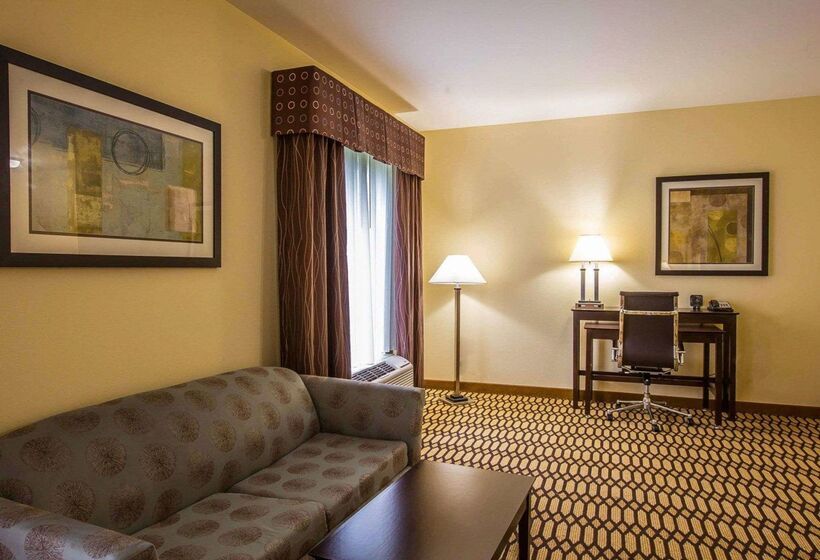 فندق Comfort Suites Simpsonville   Greenville