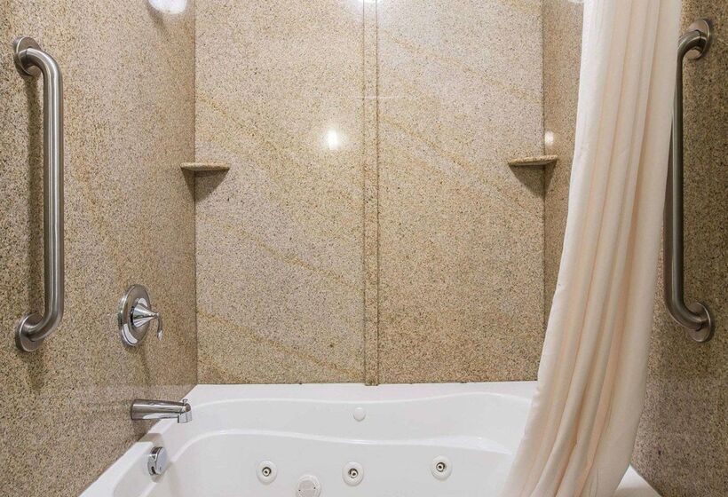 فندق Comfort Suites Simpsonville   Greenville