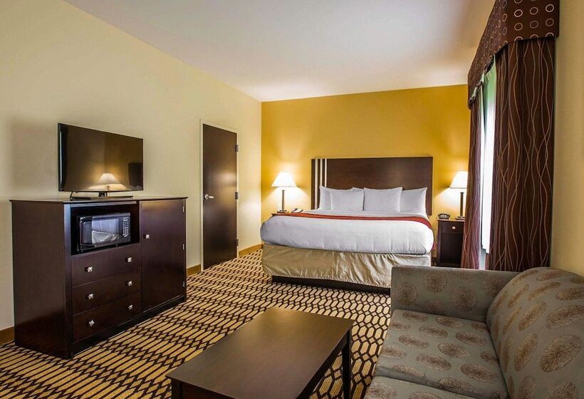 فندق Comfort Suites Simpsonville   Greenville