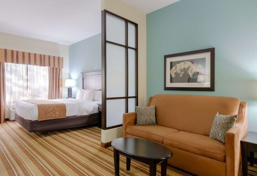 ホテル Comfort Suites Topeka Northwest