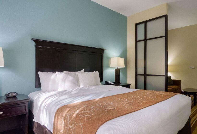 ホテル Comfort Suites Topeka Northwest