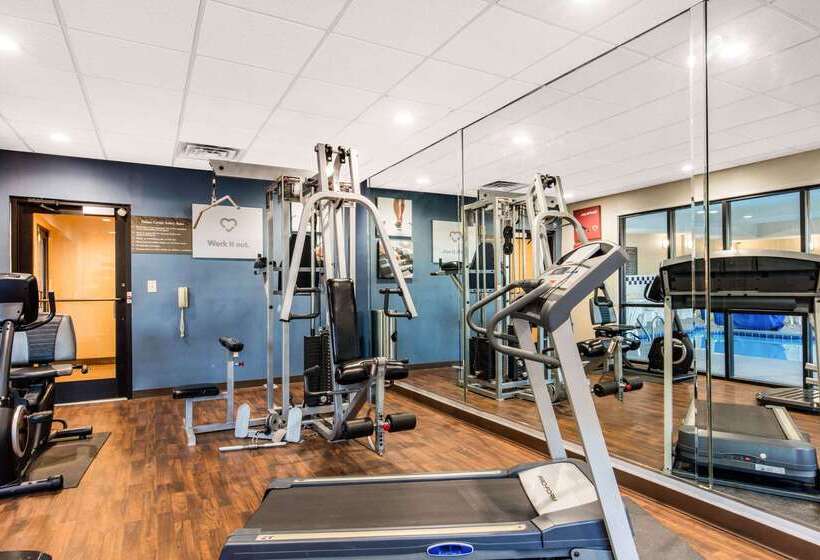 Отель Comfort Suites Tuscaloosa Near University