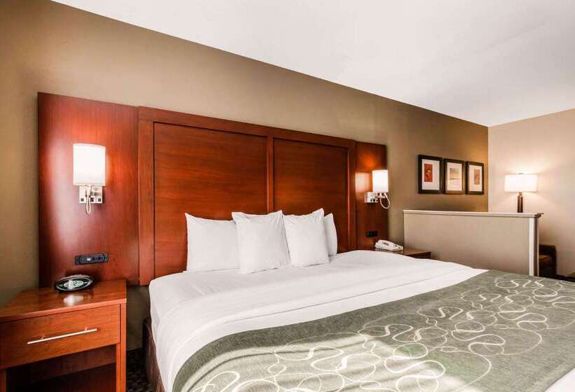 هتل Comfort Suites Tuscaloosa Near University