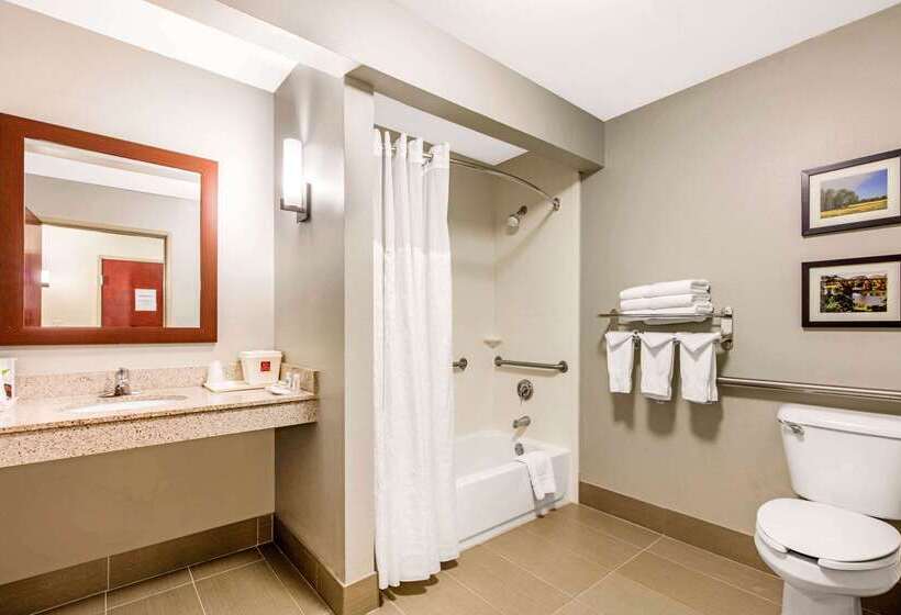 Отель Comfort Suites Tuscaloosa Near University