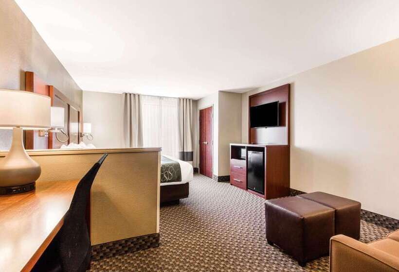 ホテル Comfort Suites Tuscaloosa Near University