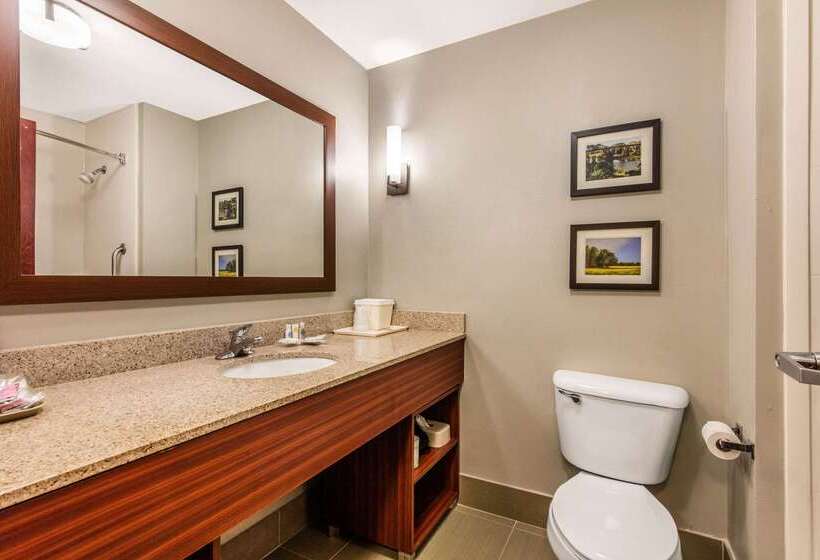 Отель Comfort Suites Tuscaloosa Near University