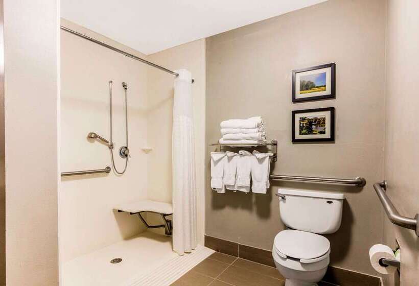 ホテル Comfort Suites Tuscaloosa Near University