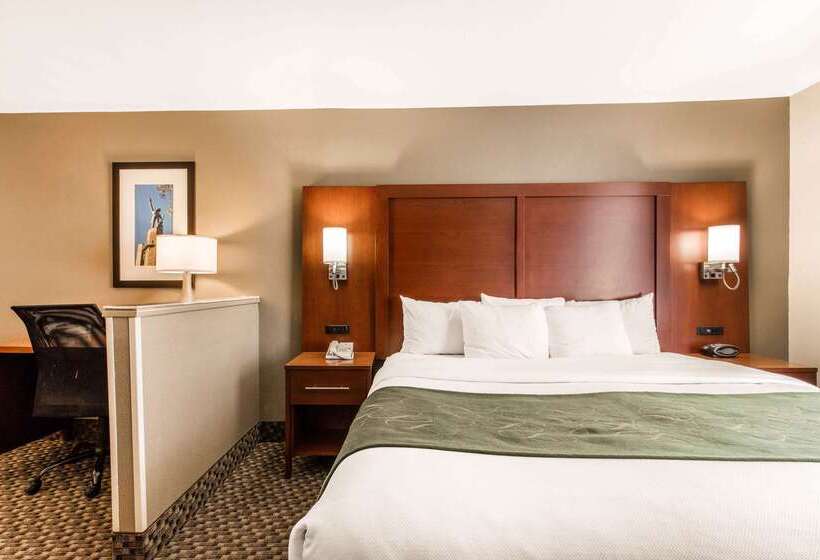 هتل Comfort Suites Tuscaloosa Near University