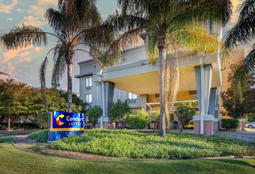 ホテル Comfort Suites Vacaville Napa Valley Area