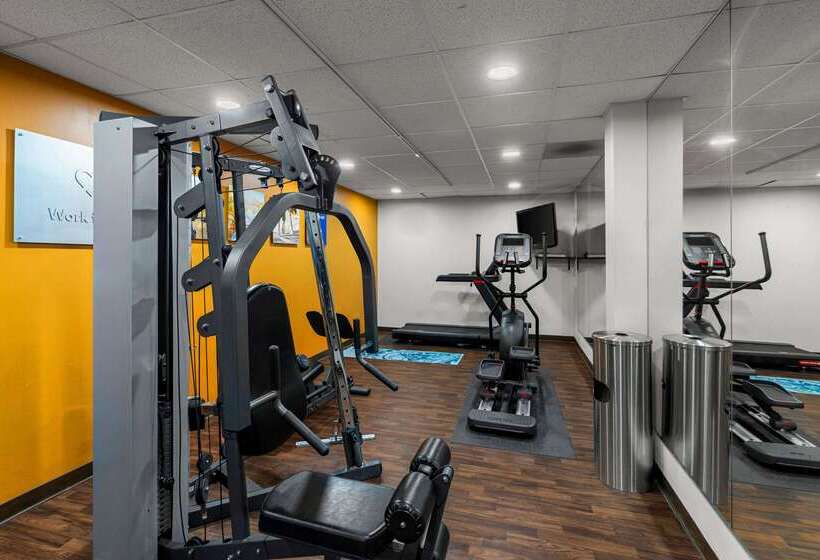 ホテル Comfort Suites Vacaville Napa Valley Area