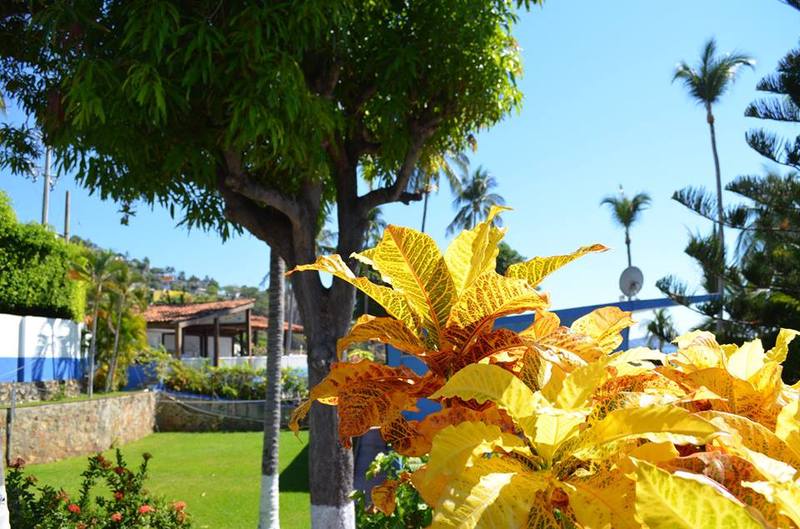 Отель Coral Clubes Acapulco