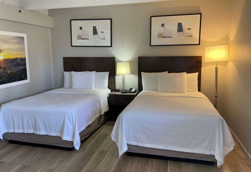 هتل Days Inn By Wyndham Denver Downtown