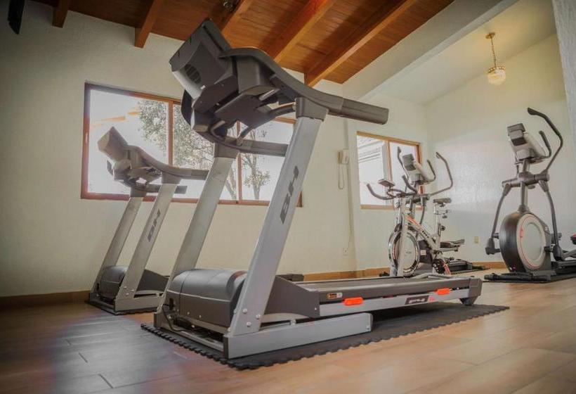 בית מלון כפרי Del Angel, Apizaco