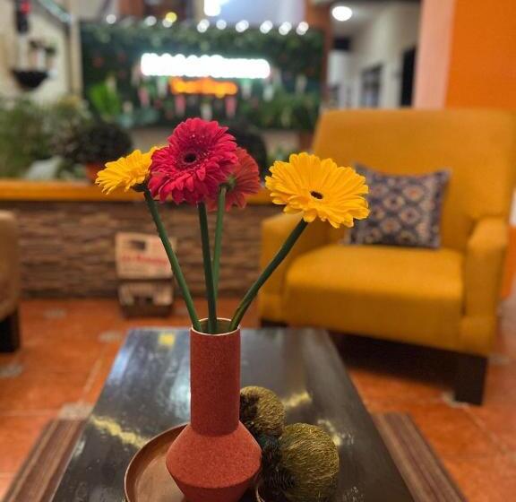 בית מלון כפרי Del Carmen, En El Centro  Desayuno Incluido !