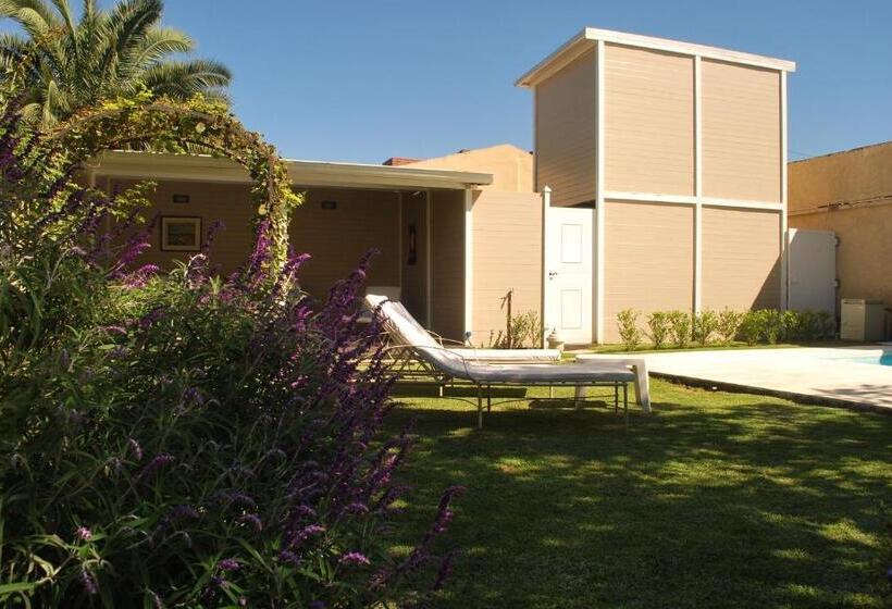 호텔 Delvino Boutique