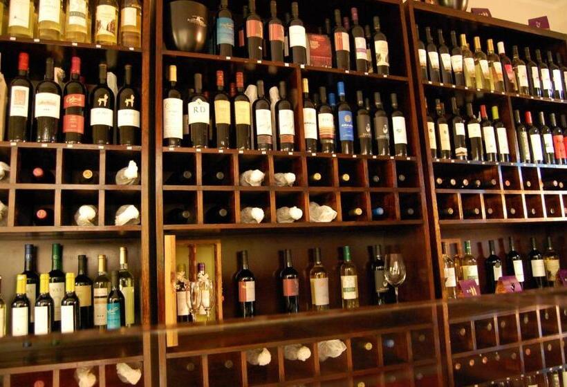 호텔 Delvino Boutique