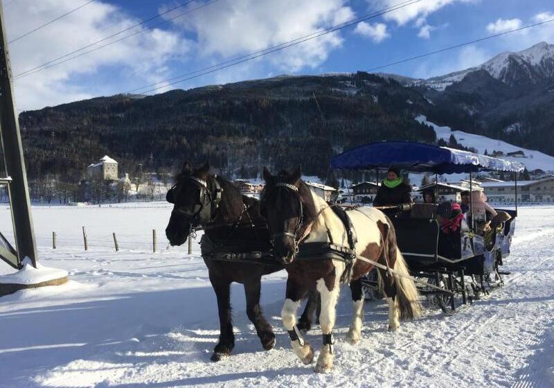 ホテル Der Schmittenhof