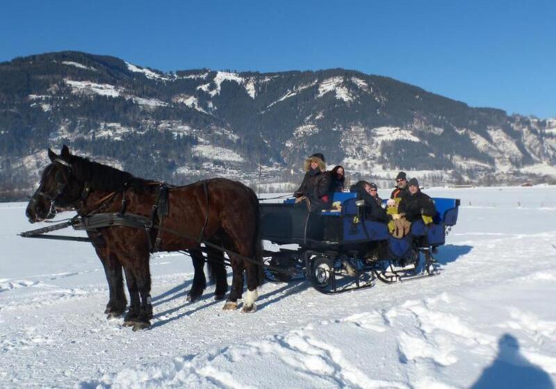 ホテル Der Schmittenhof