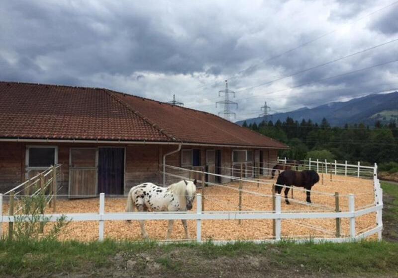 ホテル Der Schmittenhof