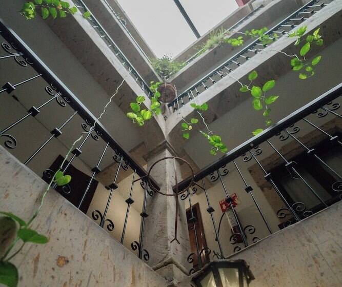 هتل Don Quijote Plaza Guadalajara Centro Historico