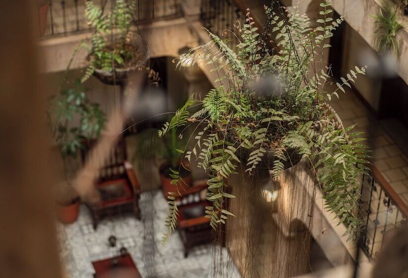 هتل Don Quijote Plaza Guadalajara Centro Historico