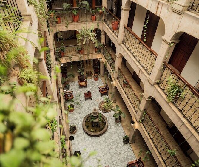 هتل Don Quijote Plaza Guadalajara Centro Historico