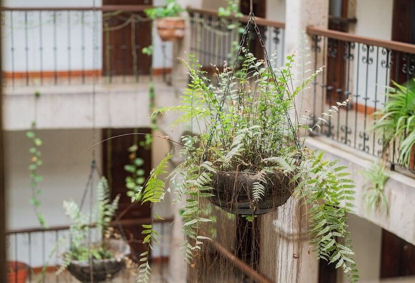 هتل Don Quijote Plaza Guadalajara Centro Historico