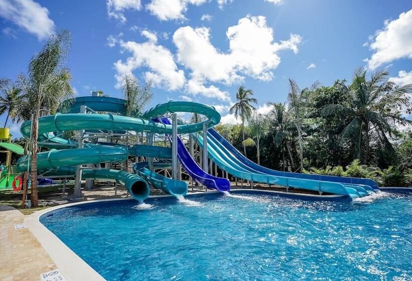 ホテル Dreams Royal Beach Punta Cana All Inclusive