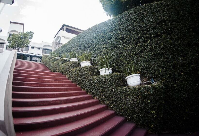 فندق Eh Ejecutivo Urban