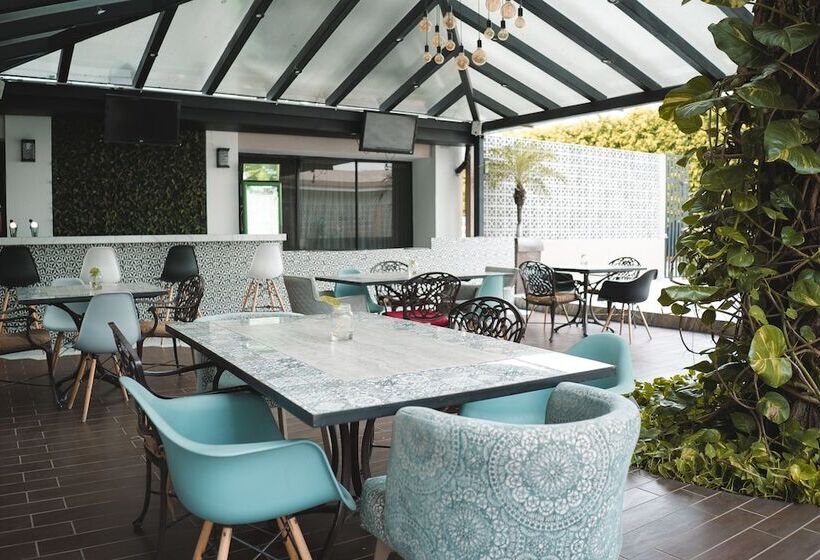 فندق Eh Ejecutivo Urban