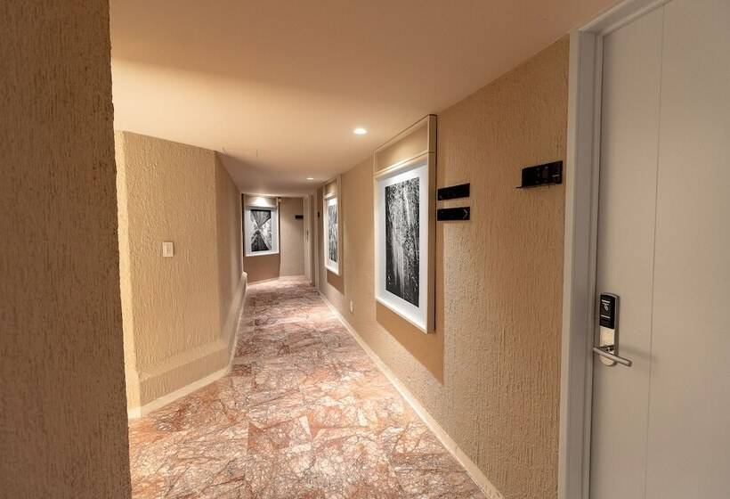 בית מלון כפרי Oliva Plaza