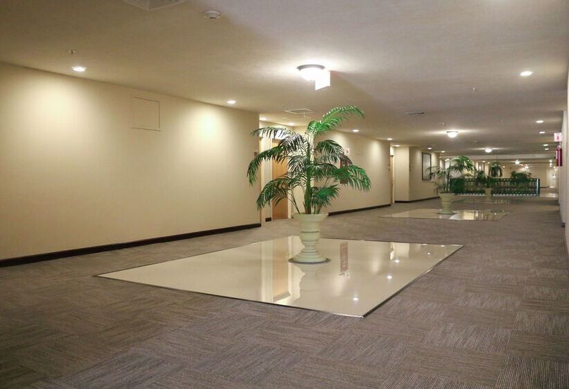 فندق Hampton Inn By Hilton Tampico Zona Dorada