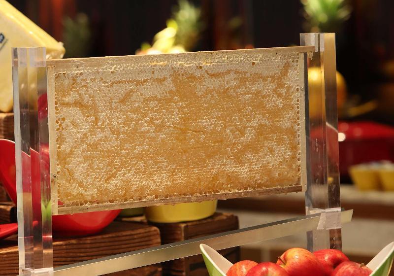 هتل Hilton Shanghai Hongqiao