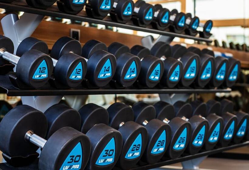 هتل Hilton Shanghai Hongqiao