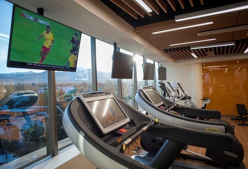 Holiday Inn Hotel & Suites Medica Sur By Ihg