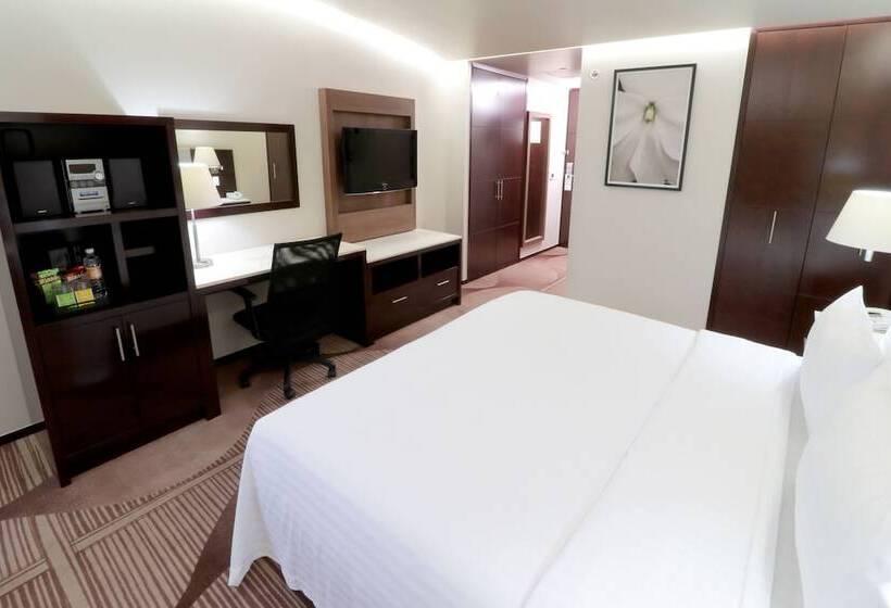 Holiday Inn Hotel & Suites Medica Sur By Ihg