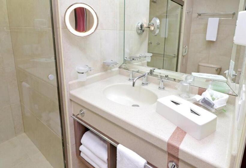 Holiday Inn Hotel & Suites Medica Sur By Ihg