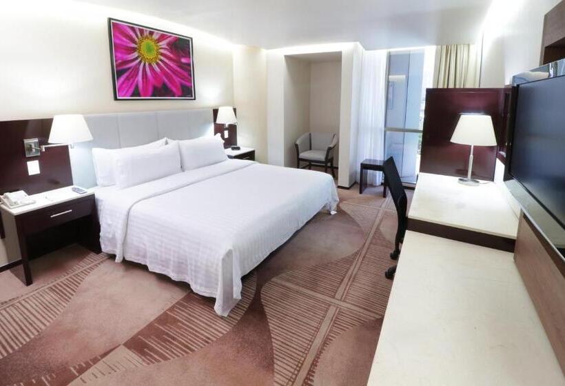 Holiday Inn Hotel & Suites Medica Sur By Ihg