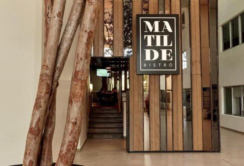 Holiday Inn Hotel & Suites Medica Sur By Ihg