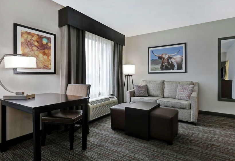 فندق Homewood Suites By Hilton Mcallen