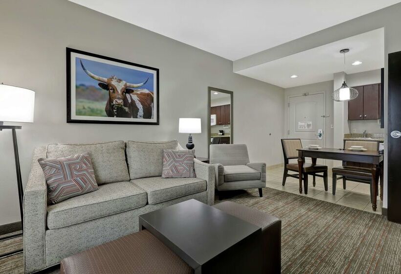 فندق Homewood Suites By Hilton Mcallen