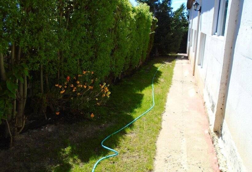 فندق Los Fresnos