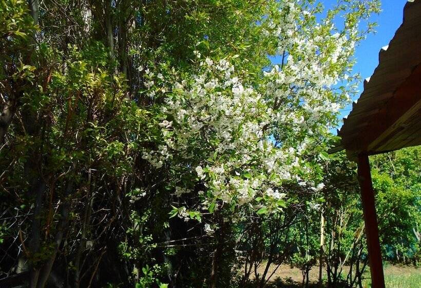 فندق Los Fresnos