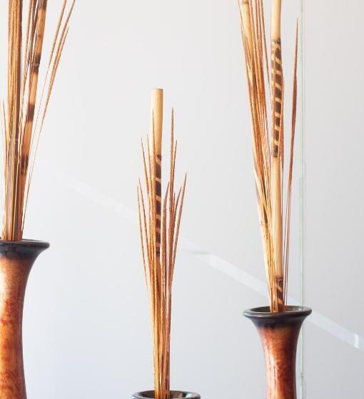 Ibeurohotel Guadalajara Expo