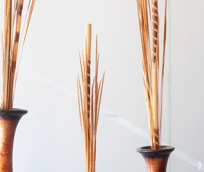 Ibeurohotel Guadalajara Expo