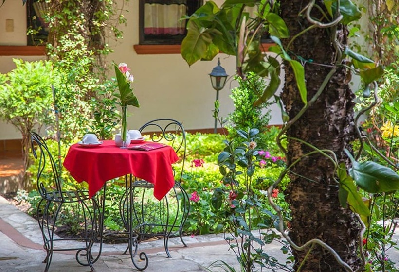 Отель Jovel   Pago Solo En Efectivo