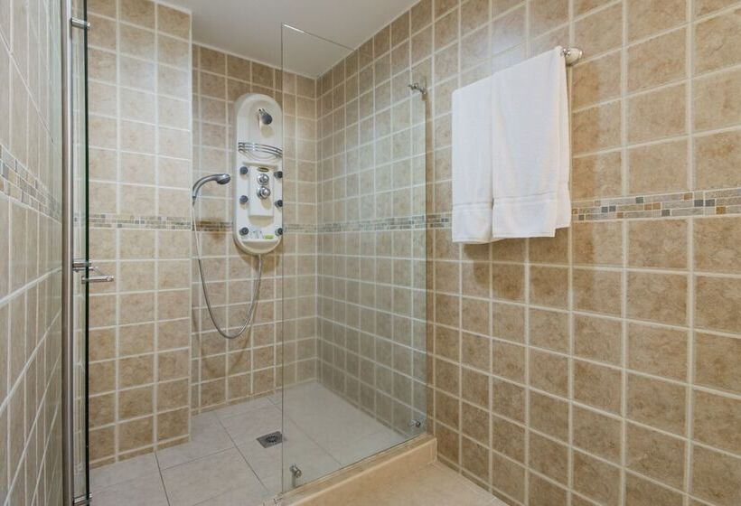 호텔 Luxor Plaza Pereira