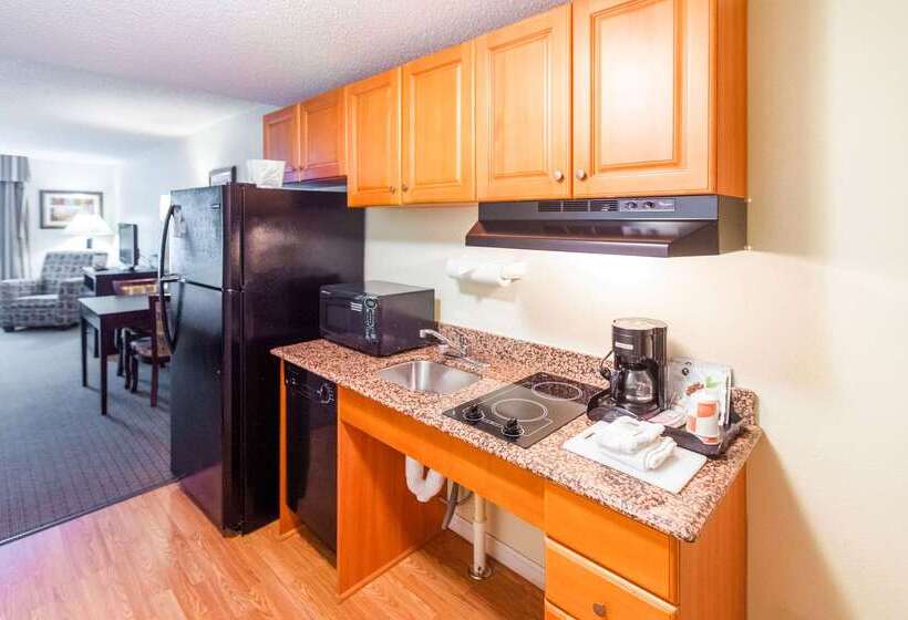 酒店 Mainstay Suites Knoxville North I75