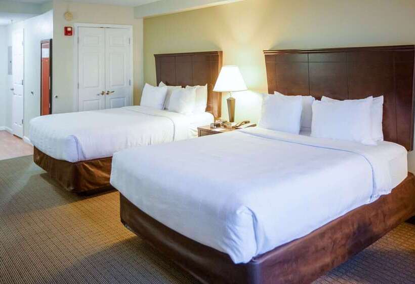 酒店 Mainstay Suites Knoxville North I75